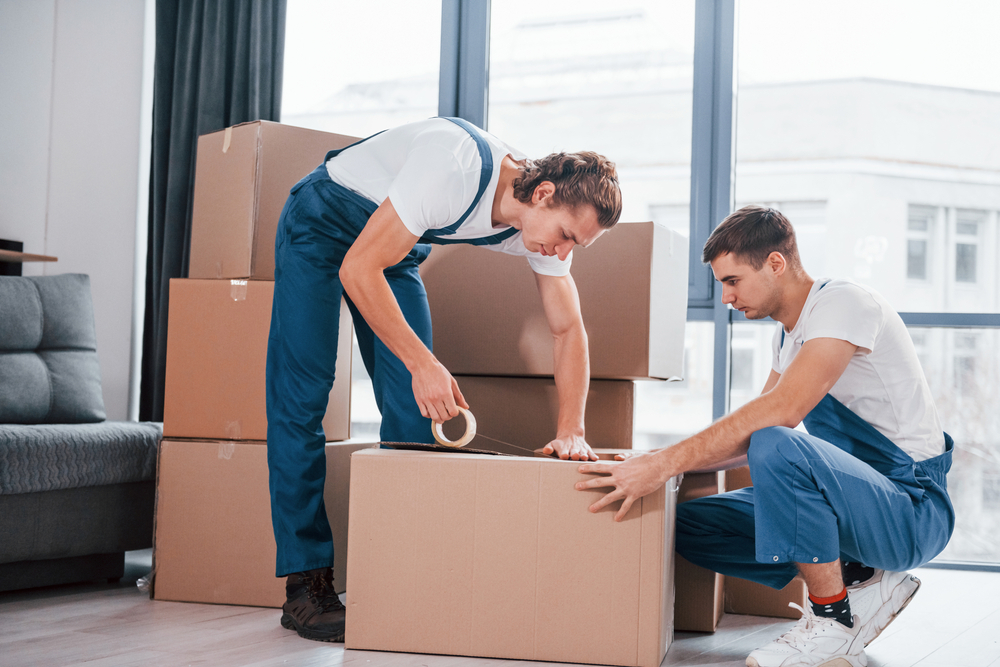 Best Movers Packers