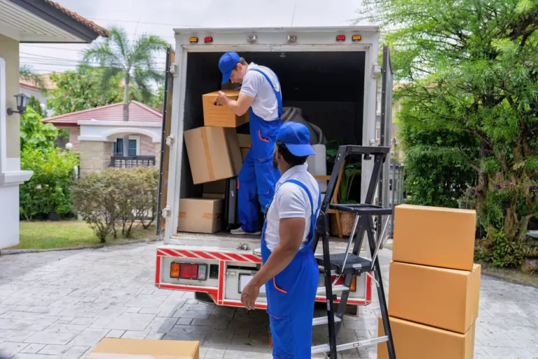 Best Mover Packer Qatar