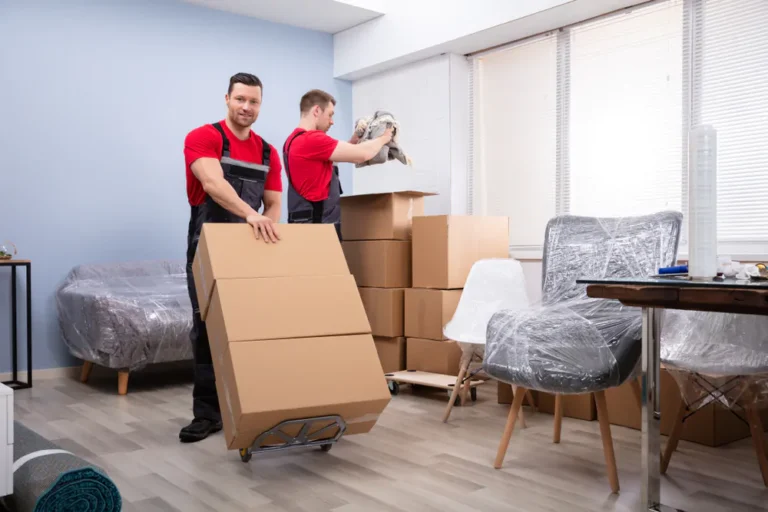 Doha Movers and Packers1