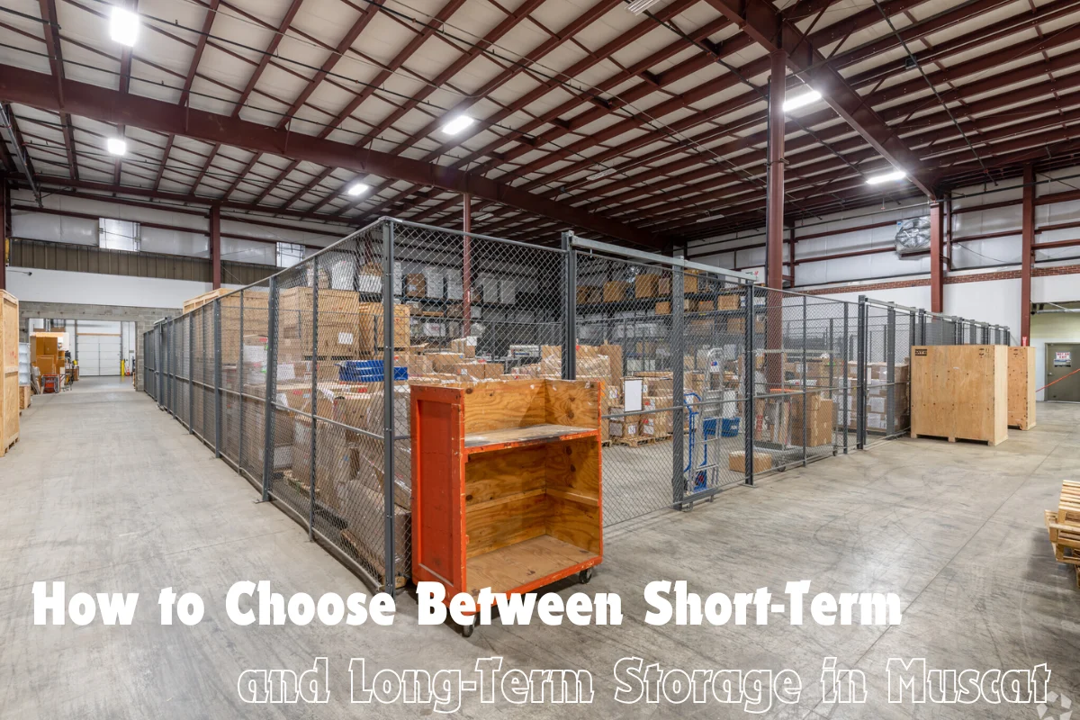 How to Choose Between Short-Term and Long-Term Storage in Muscat